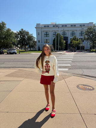 Game Day Pup Graphic Knit Sweater!