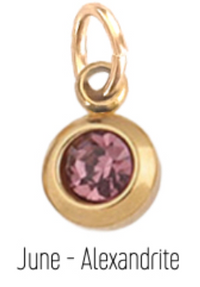 Farrah B Birth Stone Charms