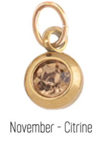 Farrah B Birth Stone Charms