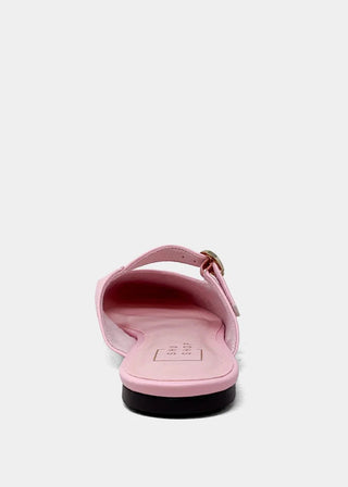 Aidy Mule - Sugar Co.