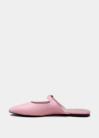 Aidy Mule - Sugar Co.