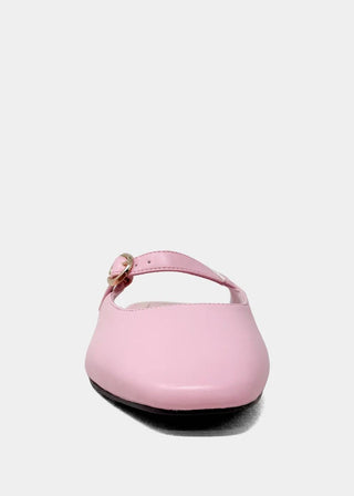 Aidy Mule - Sugar Co.