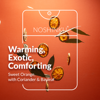 Orange - Coriander Moisturizing Sanitizer Mini Refill Pouch