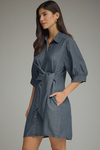Everly Denim Dress