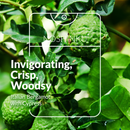 REFILLABLE Bergamot Ultra-Moisturizing Pocket Hand Sanitizer