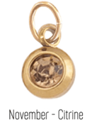 Farrah B Birth Stone Charms - Sugar Co.