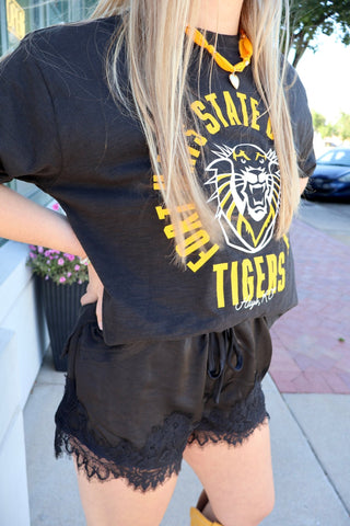 Fort Hays State Blitz Tee - Sugar Co.
