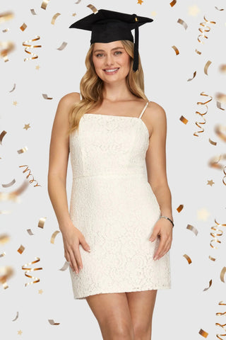 Lovely Lace Dress - Sugar Co.