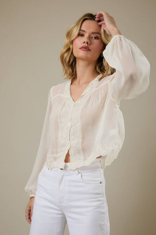 Shear Elegance Blouse - Sugar Co.