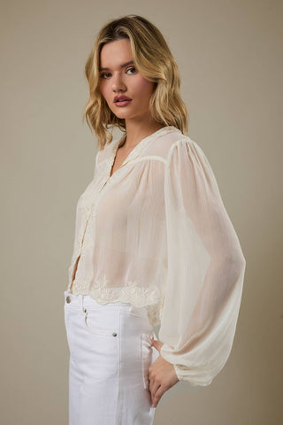 Shear Elegance Blouse - Sugar Co.