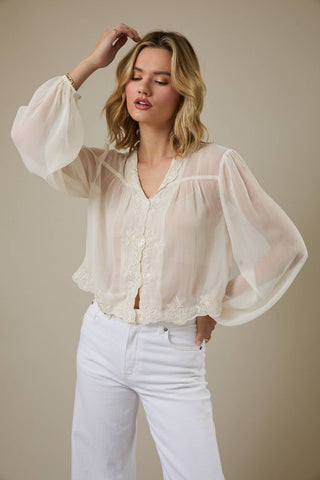 Shear Elegance Blouse - Sugar Co.