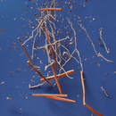 Vetiver Patchouli Nourishing Hand Sanitizer Refill Pouch - Sugar Co.